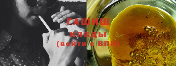 сатива Новодвинск