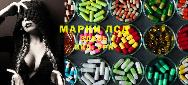 сатива Новодвинск