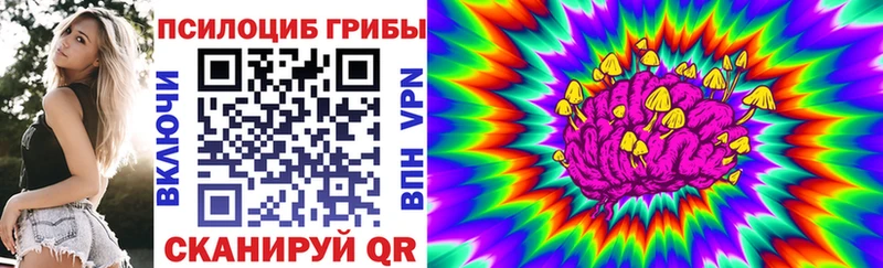 Псилоцибиновые грибы Psilocybine cubensis  Нижняя Салда 